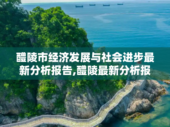 醴陵市经济发展与社会进步最新分析报告,醴陵最新分析报告